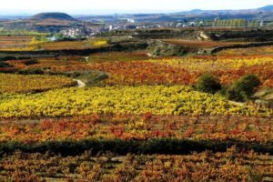 4 Day Basque Country Tour: San Sebastian, Biarritz, Bilbao and Rioja - Rioja in one long day: wineries, wine caves, and the lunch that ties it together
