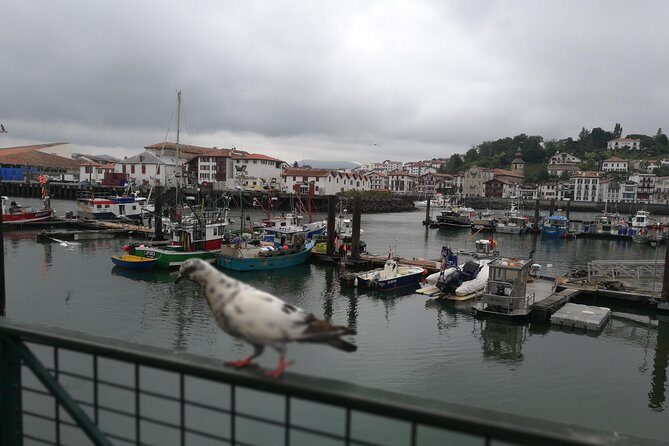 Biarritz & La Côte Basque Private tour - The Hidden Payoff: Learning the Basque Coast Beyond Postcards