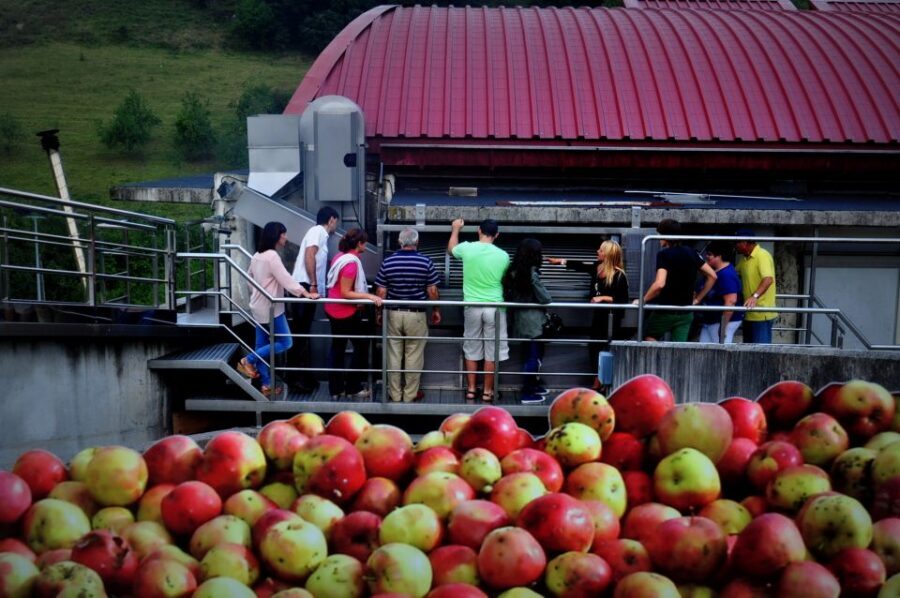 Cider House Experience From San Sebastián - Should you book the Cider House Experience From San Sebastián?