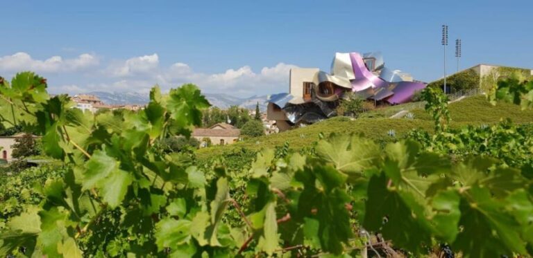From San Sebastian/Bilbao/Vitoria: La Rioja Wineries Tour - Inside Two Rioja Wineries: small vs mid-sized, traditional vs modern