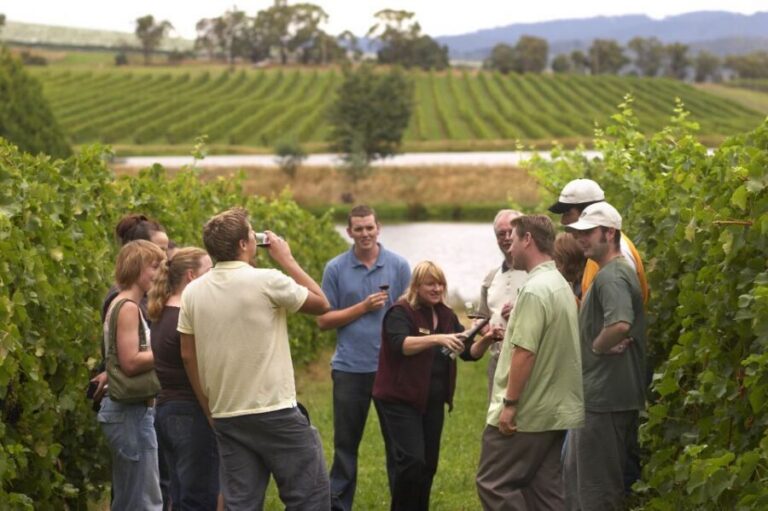 From San Sebastian/Bilbao/Vitoria: Rioja Wine Tour w/ Lunch - The Morning Drive From San Sebastián, Bilbao, or Vitoria