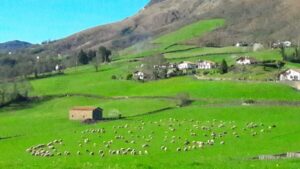 From San Sebastian: French-Basque Countryside Private Tour - Bidarray: off-the-track Basque countryside with a local pace