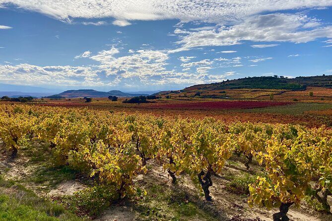 Full-Day Private Wine Tasting Tour in La Rioja with lunch - Price and Value: What You’re Paying For (And Why It Can Make Sense)