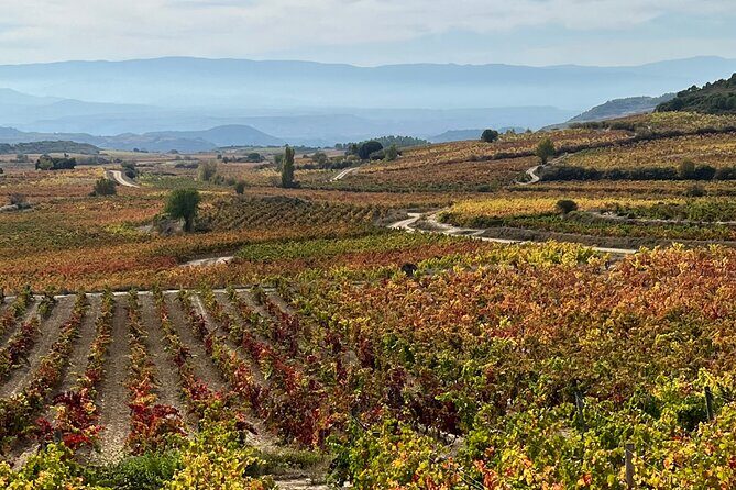 Full Day Tasting The Unknown Rioja Wine Region - Bodegas Gómez Cruzado in Haro: 5 wines, olive oil, and a producer neighborhood walk