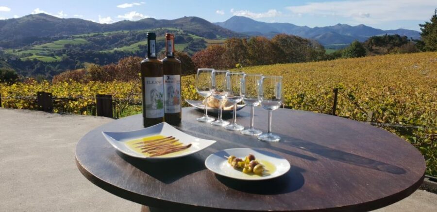 Getaria Txakoli wine tour from San Sebastian - Should You Book the Getaria Txakoli Tour from San Sebastián?