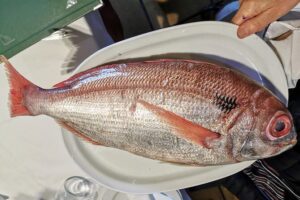 Private Cliffs, Grilled Fish & Txakoli Wine Experience - Ameztoi txakoli tasting: why this wine fits grilled fish