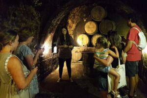 Private Rioja wine tasting tour with local lunch - La Rioja in one block: two wineries, food bites, and a medieval reset