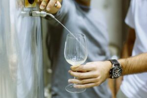 Private Tour at a Family Winery and Basque Coast Route - Txakoli Elkano: how the wine works before you taste it