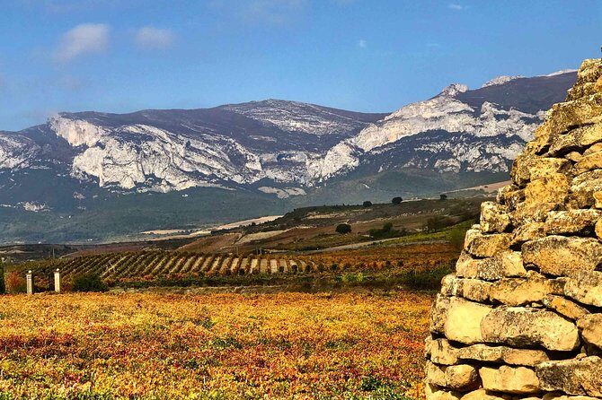 Rioja Wineries and Laguardia Tour with Picnic from San Sebastian - Laguardia After Lunch: Medieval Streets and Winery Views