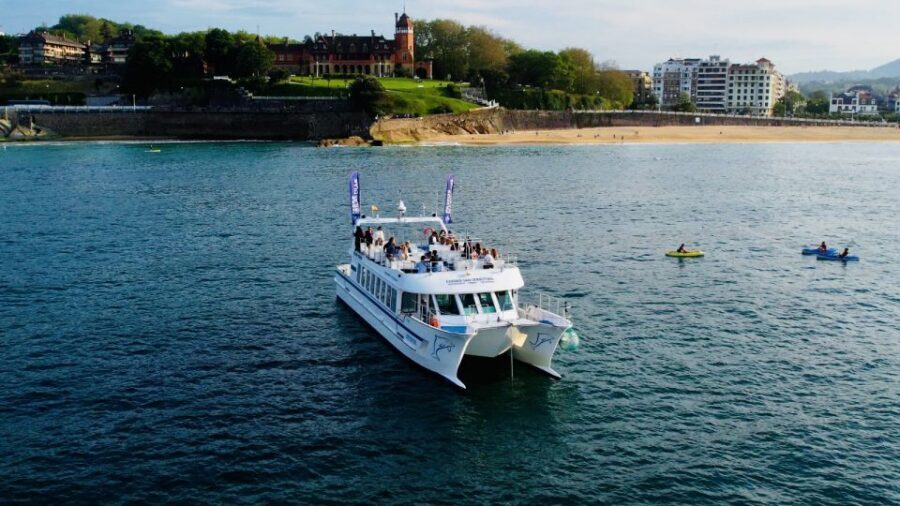 San Sebastian: Sustainable Catamaran Cruise with Audio Guide - Price and what you really get for $16