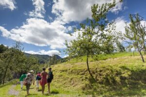San Sebastián: Traditional Cider House Tour with Lunch - Txotx ritual: how the barrel tasting actually works