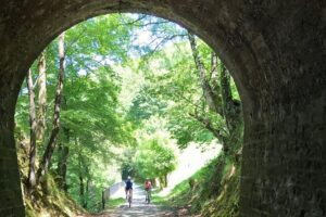 The Train Track Trail Mountain Bike Ride - Private experience - The biking style: mostly flat, gentle grades, and tunnel time